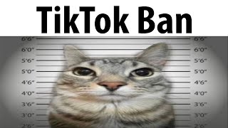 TikTok Ban [upl. by Aneehsal]