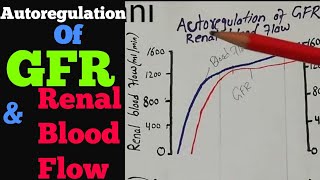 Autoregulation of GFR amp Renal Blood Flow  Kidney physiology lecture 73 [upl. by Eetsim]