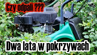 Kosiarka NAC Dy164  Dwa lata w pokrzywach Czy odpali I Naprawa i wymiana piasty [upl. by Lennod124]