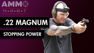 Stopping Power of 22 Magnum [upl. by Campos]