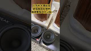 單體懸邊上的白色粉末是什麼？ Scanspeak Revelator BMRTower [upl. by Annadroj341]