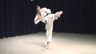 Shotokan Karate Kicking Exercise Brown Belt Kicking Combination 2 [upl. by Tierza]