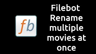 Filebot Renaming multiple Movies [upl. by Bodnar504]