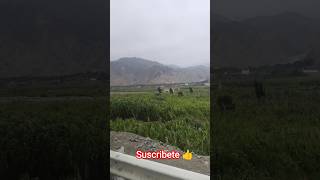 Lunahuaná youtube legoar capcut tiktok viajes [upl. by Esilrahc621]