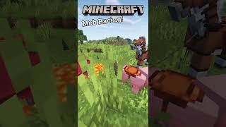 Minecraft Mob Racing [upl. by Eniluqcaj]