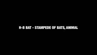 HB BAT  STAMPEDE OF BATS ANIMAL [upl. by Aitra]