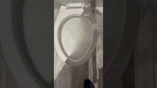 Clogged toilet [upl. by Rialcnis]