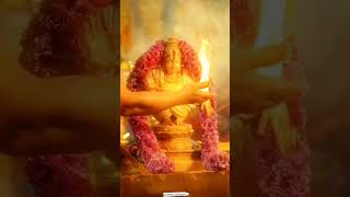 Palabishegamபால் அபிஷேகம்சபரிமலைஐயப்பன் bajanaidevotionalhymn saranamayyappa devotionalsongs [upl. by Elac]