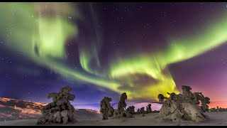 Auroras boreales Laponia Finlandia Aurora polar luces del norte  aurora polaris Rovaniemi Turismo [upl. by Asp120]