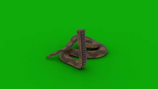 half snake green screen [upl. by Rodger]