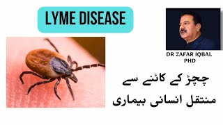 Lyme Disease  چچڑ کے کاٹنے سے انسان میں منتقل بیماری  Ixodes Ticks  Deer Tick [upl. by Yendirb]