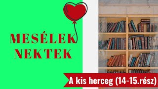 A kis herceg 14 15 fejezet HUNENG [upl. by Aillemac27]