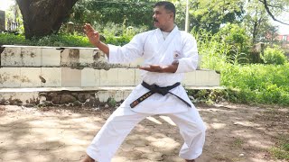 Karate basic Punches  Malayalam [upl. by Eserahs]