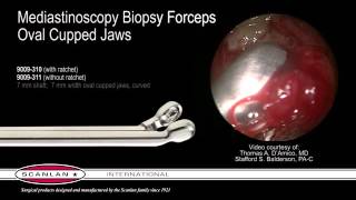 Scanlan Mediastinoscopy Biopsy Forceps [upl. by Yecart]