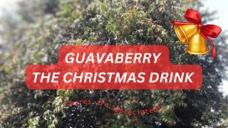 Guavaberry Juice  The Caribbean Christmas Drink [upl. by Haimaj]