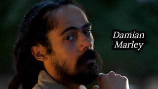 Damian Marley  Affairs of the Heart Lyric [upl. by Ahselet]