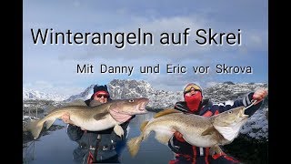 HD Winterangeln auf Skrei  LofotenSkrova [upl. by Esinej]