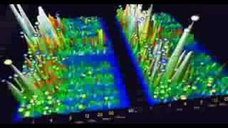 Brainwaves during Sleep  Beta Delta REM EEG playback x10 not realtime [upl. by Hannaj]