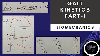 GAIT KINETICS  Part 1 Gait BiomechanicsPhysiotherapy Tutorial [upl. by Winny504]