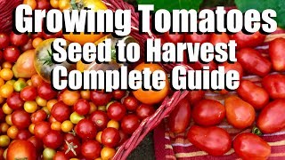 How to Grow Tomatoes from Seed to Harvest  Complete Gardening Guide with Digital Table of Contents [upl. by Addie]