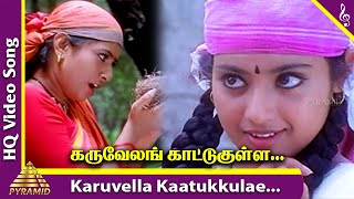 Karuvella Kaatukkulle Video Song  Porkaalam Tamil Movie Songs  Murali  Meena  Deva  Vairamuthu [upl. by Savanna]