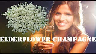 Elderflower Champagne Pt 1 [upl. by Sande]