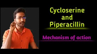 Cycloserine and Piperacillin Mechanism of action [upl. by Enitram]