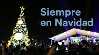 Iluminación árbol navideño  Coppel [upl. by Longerich730]