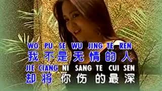 Ai Wo Te Ren He Wo Ai Te Ren Karaoke [upl. by Eellah]