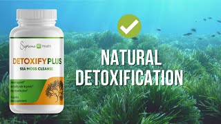 Sea Moss Benefits  Introducing DetoxifyPlus Capsules [upl. by Nwatna969]