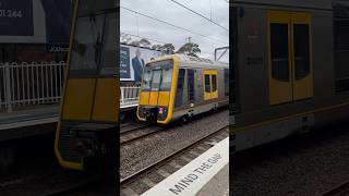 Tangara sets T and T49 arriving at Engadine [upl. by Naples]