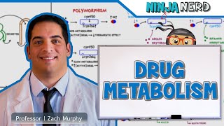 Pharmacokinetics  Drug Metabolism [upl. by Rebbecca]