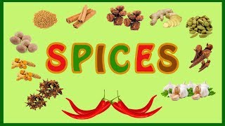 Spices names in English for kids  Spices names in English with animated pictures  Spices Am A Kid [upl. by Asirralc613]