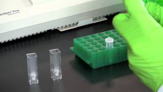 DNA Quantitation Using a Spectrophotometer [upl. by Atoiganap865]