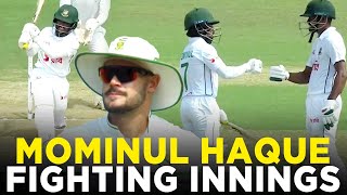 Mominul Haque Classy Fifty  Bangladesh vs South Africa  2nd Test Day 3  M3H1K [upl. by Adaliah]