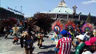 Danzantes en la Basilica de Guadalupe [upl. by Bernadette220]