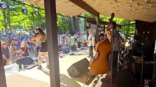 The Town Pants quotRainvillequot Live at Great Blue Heron Music Festival 2024 [upl. by Grory]