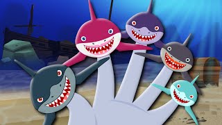 Finger Family  Shark Finger Family  Song For Kids [upl. by Anabella]