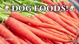 TOP 10 BEST FOODS FOR DOGS [upl. by Menon318]