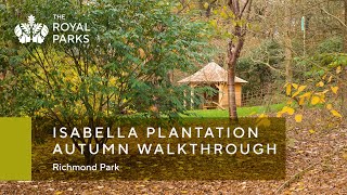 Isabella Plantation in Richmond Park autumn walkthrough  The Royal Parks [upl. by Rogers]