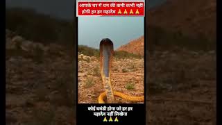 Hare Sahare Khatushyam khatushyam godfacts shortsfeed viral tranding funny 29 cover song [upl. by Yhtomot]