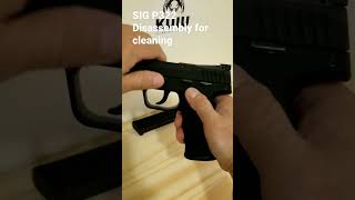 Sig P322 quick disassembly for cleaning [upl. by Yhtimit641]