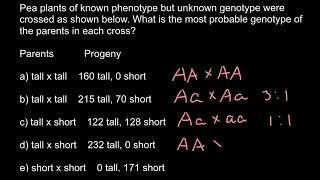 Different Genotype and Phenotype ratios explained [upl. by Lalise]