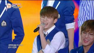 【TVPP】Seventeen – Pretty U  세븐틴  예쁘다  2016Thank you festival [upl. by Carmelle657]