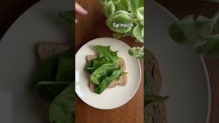 Egg Salad Sandwich Recipe  Easy and Healthy Breakfast 🥪👩🏻‍🍳 [upl. by Apollus]