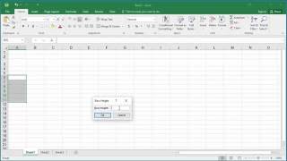 How to Change Row Height in Excel 2016 [upl. by Leihcim562]