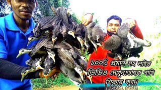 ডাহুক পাখি। হাস পাখি। বগ পাখি ফাদ তৈরীর পদ্ধতি। How to make waterhen dahuk bird trap huntingdahuk [upl. by Elsi]