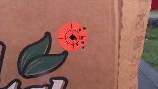 CZ 457 Lilja Barrel 17HM2 Hornady Vmax at 100 yards  8 shots and Some VNT CCI Shot Too [upl. by Ogg]