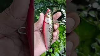 Tox Handmade stick bait lure fishing handmade srilanka [upl. by Joappa]