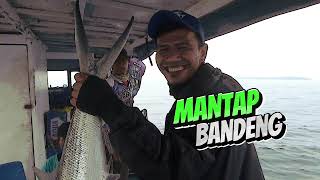 Ikan Favorit di Pulau Seribu [upl. by Oirasec]